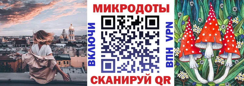 Псилоцибиновые грибы Cubensis  Купить закладки  Михайловск 